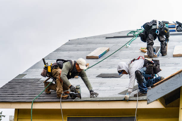 Professional Roof Replacement technician working in Genoa, IL